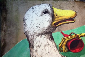 ericailcane-oiseau7web